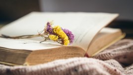 20 мъдрости за живота и любовта от Паулу Коелю