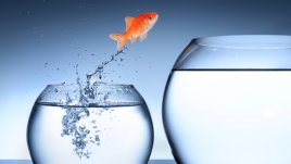 Мисъл на деня