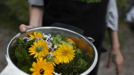 Задействайте самолечителя у вас