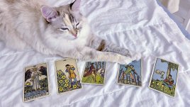 Таро карта за 11 март