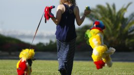 Домашен любимец за здраво сърце