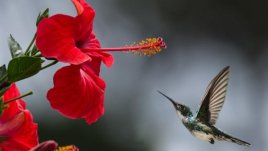 Мисъл на деня за... даването и вземането