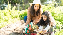 Защо градинарството е толкова полезно?