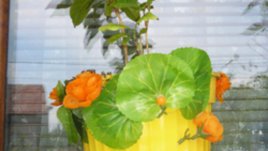 Колко пъти да рециклираме?