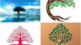 Изберете дърво и вижте каква ще е съдбата ви