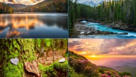 Изберете пейзаж и вижте какво ви очаква през месец юни