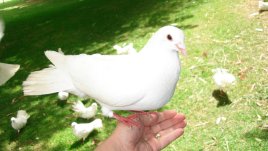 Мисъл на деня