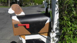 Пощенските кутии – нашето очакване към света