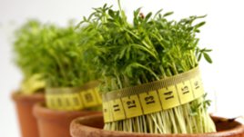 Лунна диета – ноември 2010