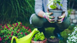 7 растения, които да засадите през март