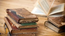 Мисъл на деня