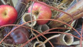 Цветни аранжировки за дома с въображение