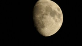 Лунна диета – декември 2011