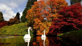 Любовни есенни рими – 17-а част