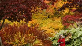 Къде да заведем децата през почивните дни 27-28 октомври 2012?