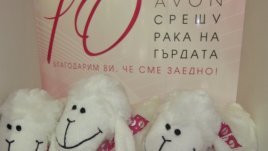 Благотворителен базар в подкрепа на превенцията от рак на гърдата