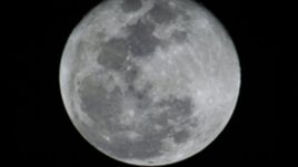 Лунна диета – август 2011