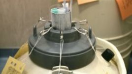 Една трета от процедурите ин витро след 37-годишна възраст са неуспешни