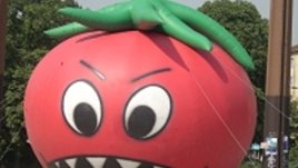 Домат мутант алармира за рисковете от ГМО