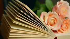 Мисъл на деня за... болката