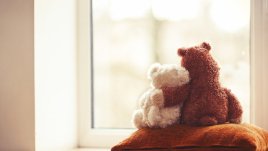 Мисъл на деня