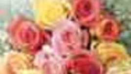 Това е новата жена