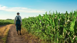 Притча за фермера и царевицата