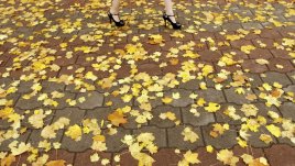 Есенните листа срещу високите токчета