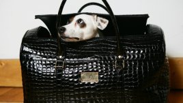 Как да почистим лачена кожа?