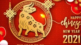 Какво ви очаква през 2021 година според китайската ви зодия 