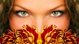 Знаете ли, че... ако окото беше камера, щеше да е с 576 мегапиксела?