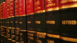 Мисъл на деня