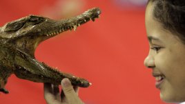 Хармония в отношенията – знаем ли как да я постигнем?