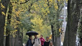 Пешеходна разходка за здраве и дълголетие на Световния ден на ходенето