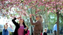 Шуслерови соли за здраве и самочувствие (VII част)