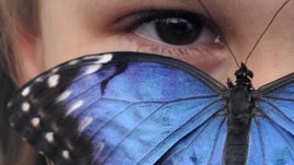 Вслушваме ли се в мечтите на децата си?