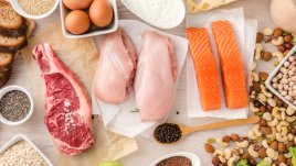 Колко протеини са твърде много за организма?