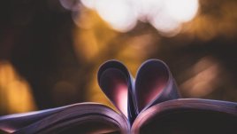 Мисъл на деня за търсенето на обич