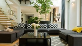 Най-добрите растения за всяко помещение в дома