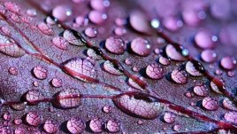 Мисъл на деня за... три ценни правила в живота