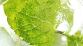 Маска с лед срещу разширени пори