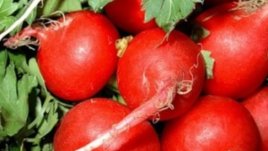 Априлски зеленчуци