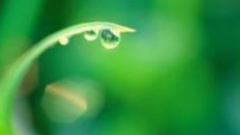 Водородът – горивото на бъдещето