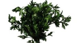 Свежите зелени подправки