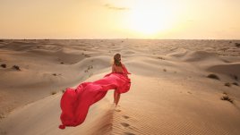 На сафари в Дубай – какво трябва да знаеш? 