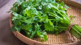 Кориандър и неговите невероятни ползи за здравето 