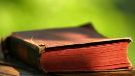 Мисъл на деня от Майк Тайсън