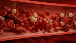 Малки трикове за подобряване на кръвообращението