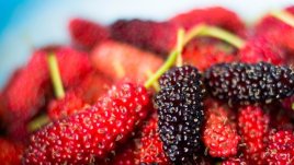 10 ползи от консумацията на черница