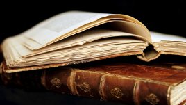 Мисъл на деня